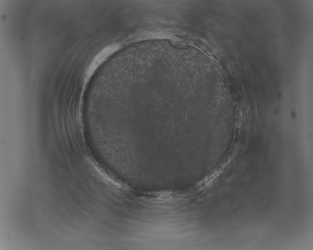 X0000077290104200611101353