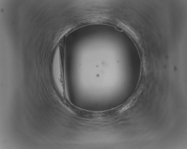 X0000077290105200611101353