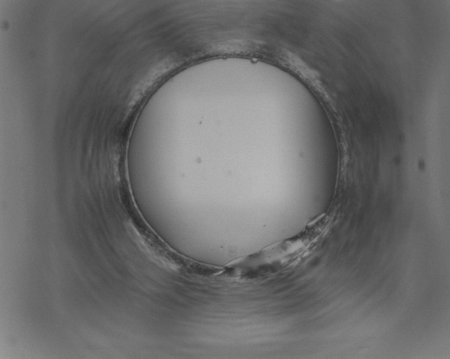 X0000077290106200611101353