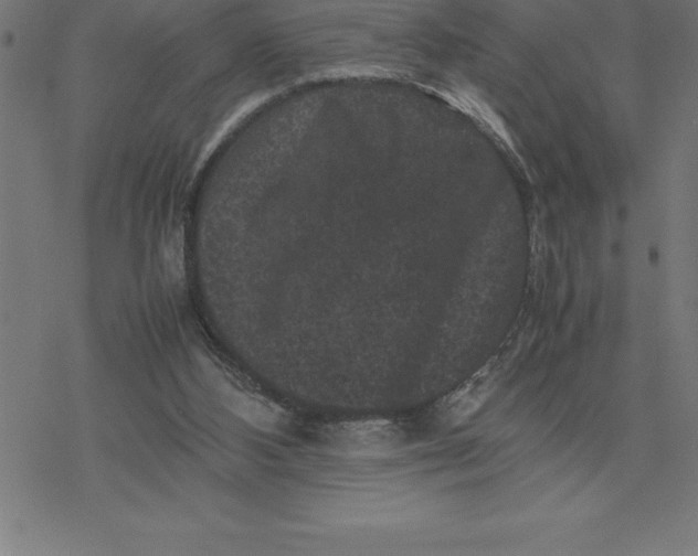 X0000077290108200611101353