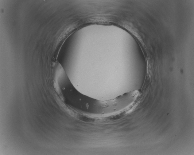 X0000077290109200611101353