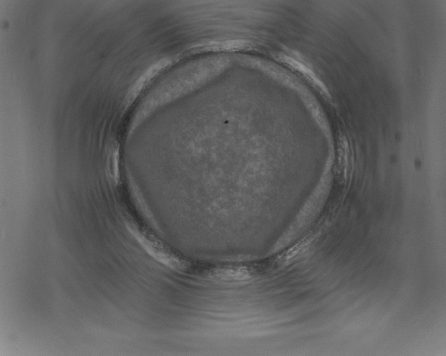 X0000077290110200611101353