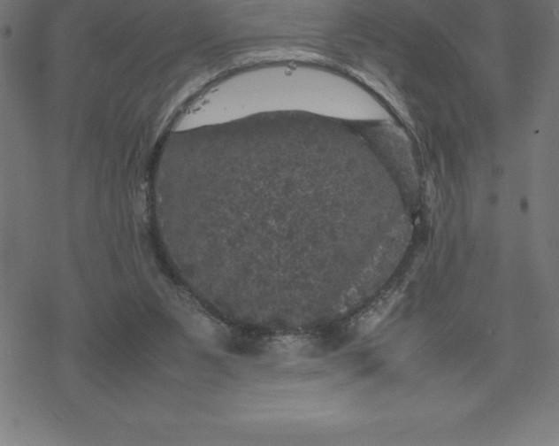 X0000077290111200611101353