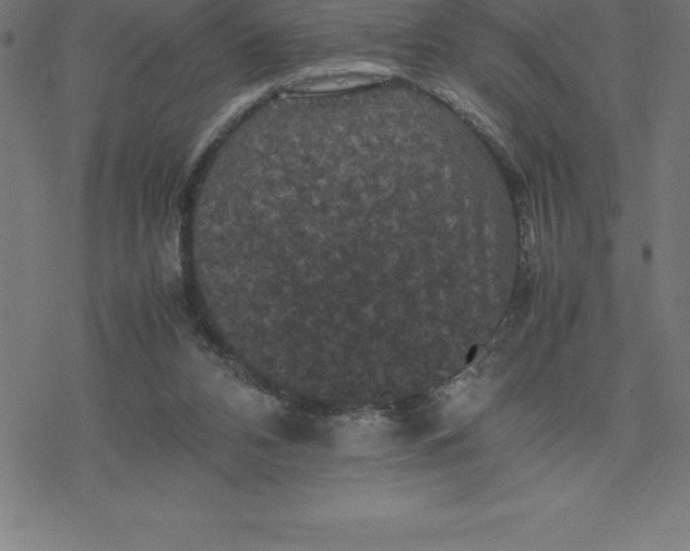 X0000077290112200611101353