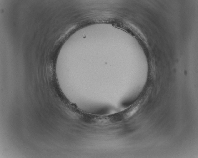 X0000077290113200611101353