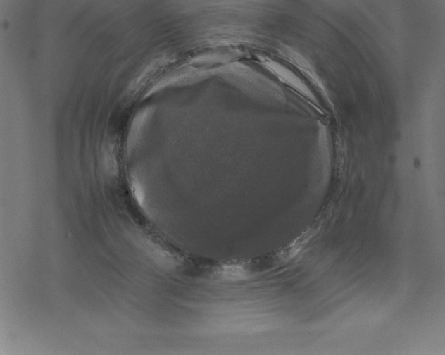 X0000077290114200611101353