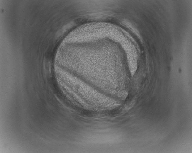 X0000077290115200611101353