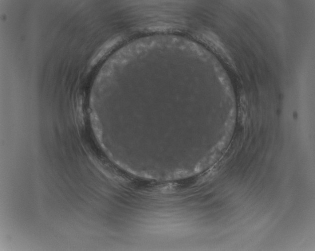 X0000077290116200611101352