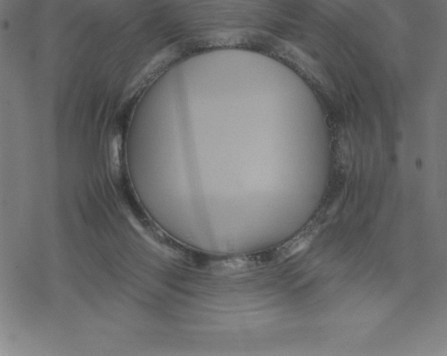 X0000077290118200611101352