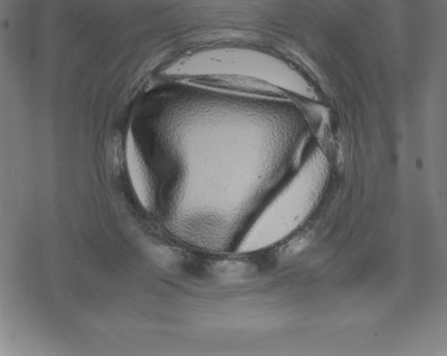 X0000077290119200611101352