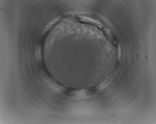 X0000077290120200611101352