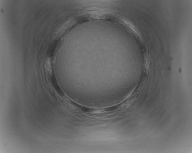 X0000077290121200611101352