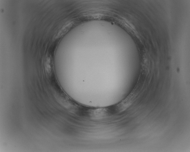 X0000077290122200611101352