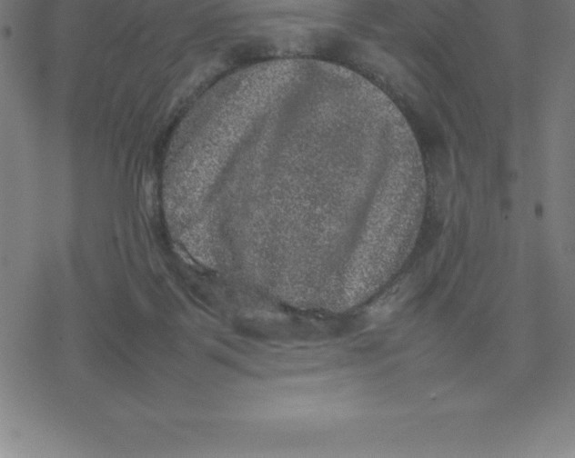 X0000077290123200611101352