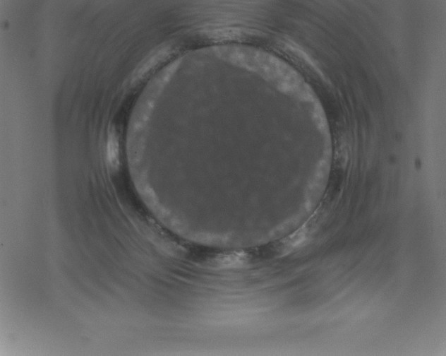 X0000077290124200611101352