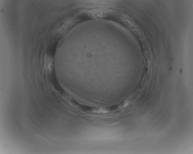 X0000077290125200611101352