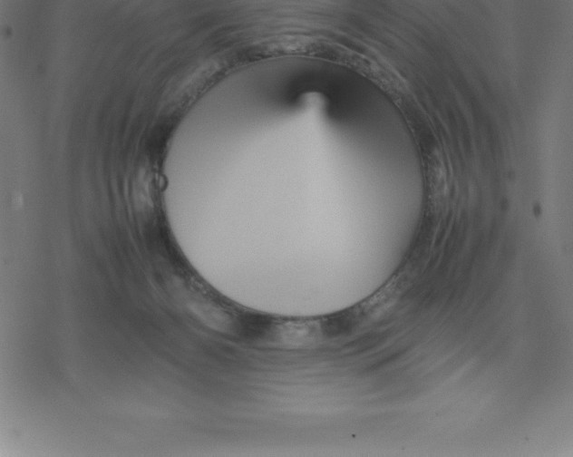 X0000077290126200611101352