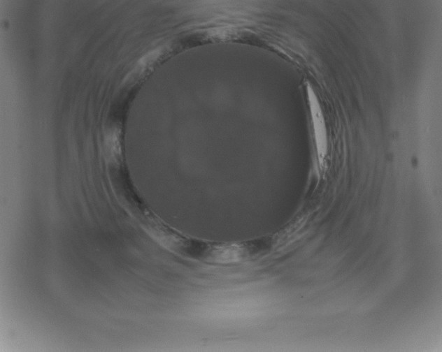 X0000077290127200611101352