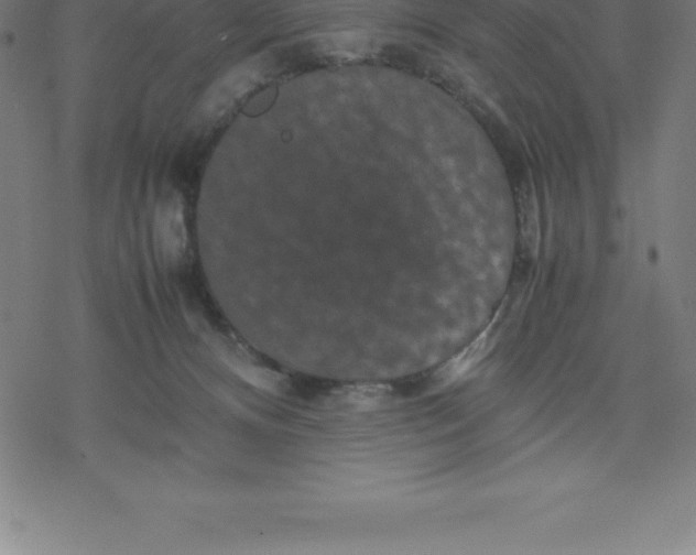 X0000077290128200611101352