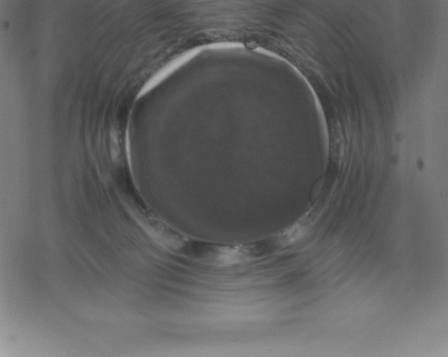 X0000077290130200611101352