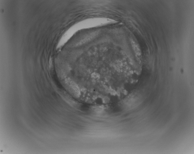 X0000077290131200611101352