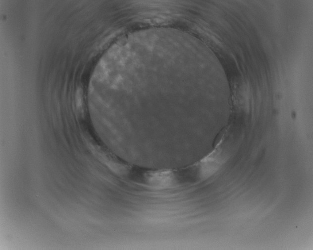 X0000077290132200611101352