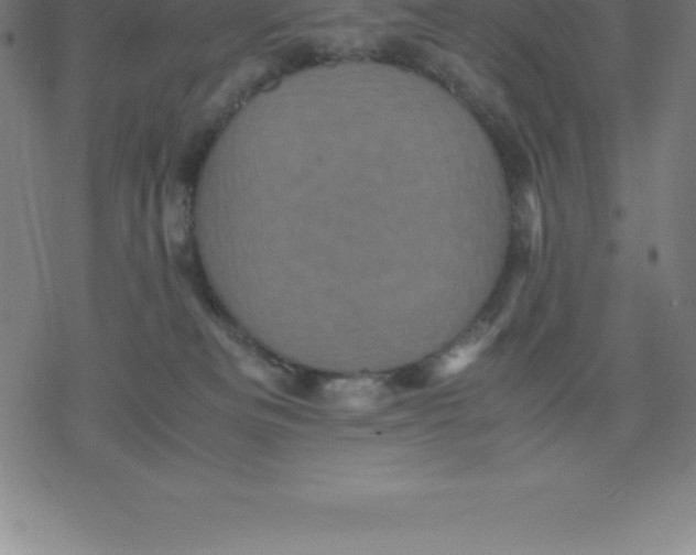 X0000077290133200611101352