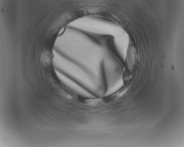 X0000077290135200611101352