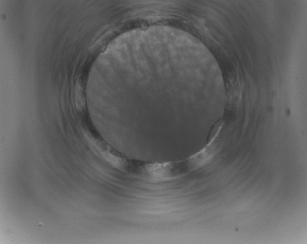 X0000077290136200611101352