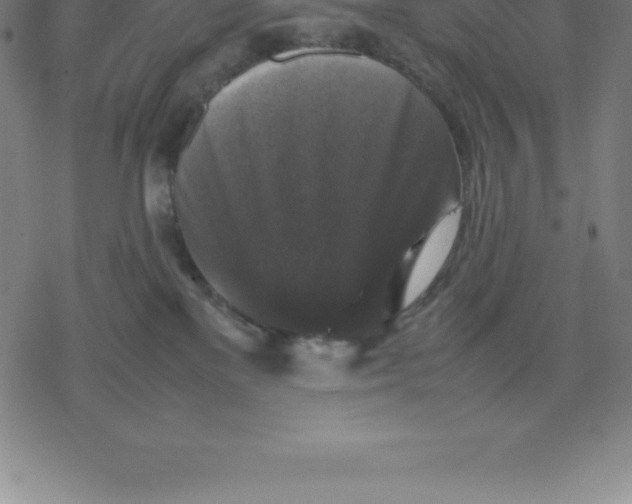 X0000077290137200611101352