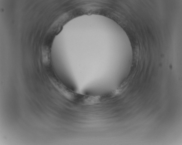 X0000077290138200611101352