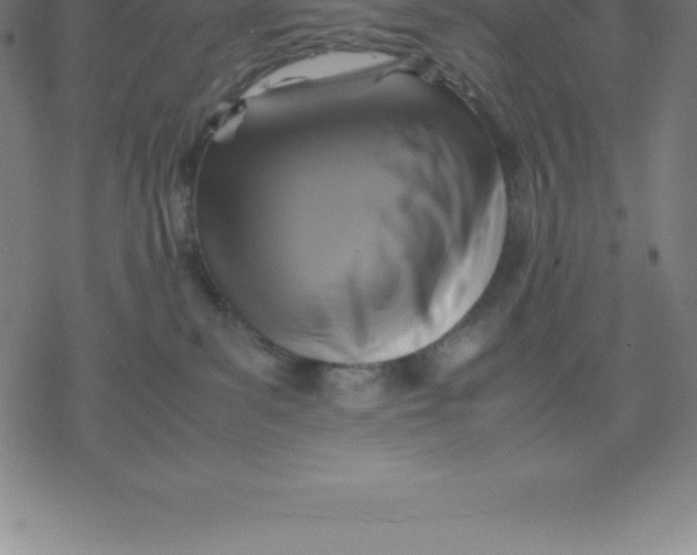 X0000077290139200611101352