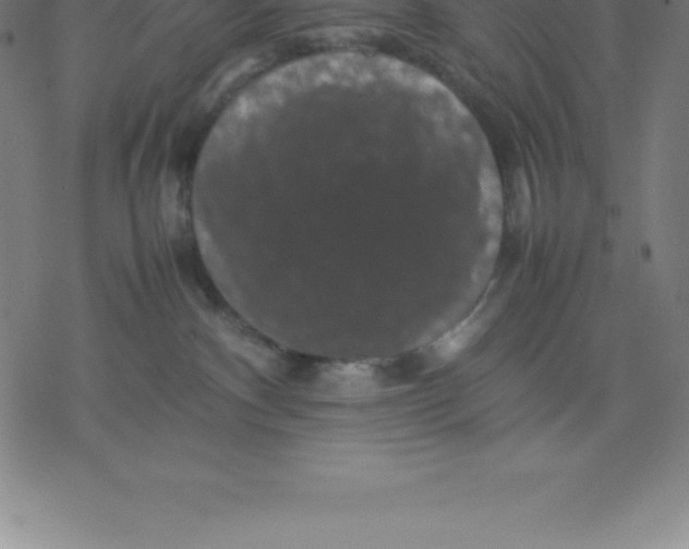 X0000077290140200611101352