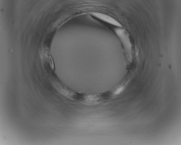 X0000077290141200611101352