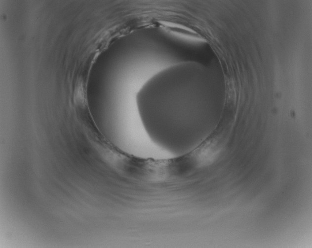 X0000077290143200611101352