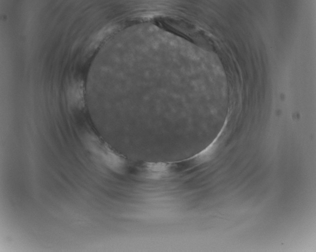 X0000077290144200611101352