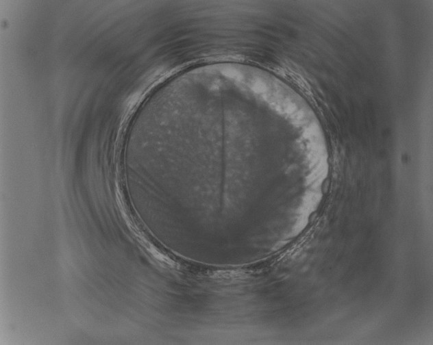 X0000077290145200611101351