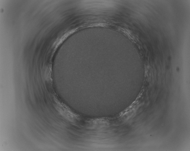 X0000077290146200611101351