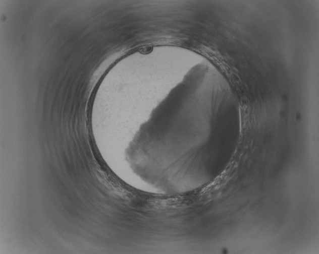 X0000077290147200611101351