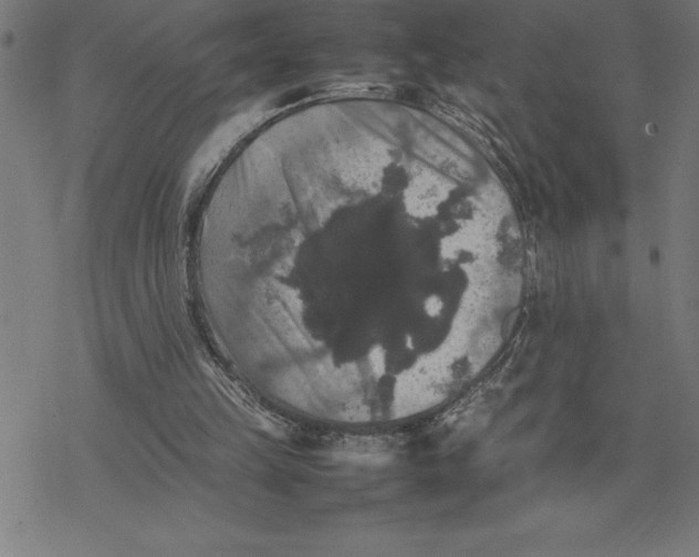 X0000077290149200611101351