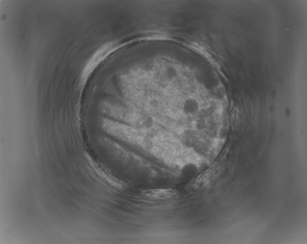 X0000077290151200611101351