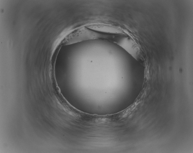 X0000077290152200611101351