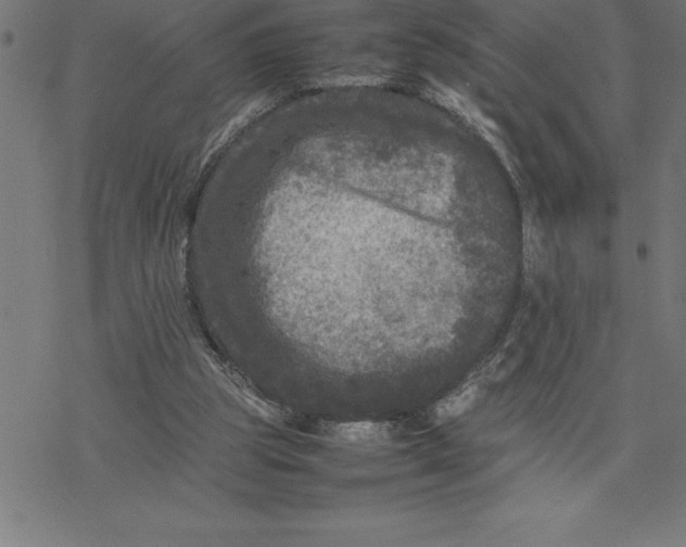 X0000077290153200611101351