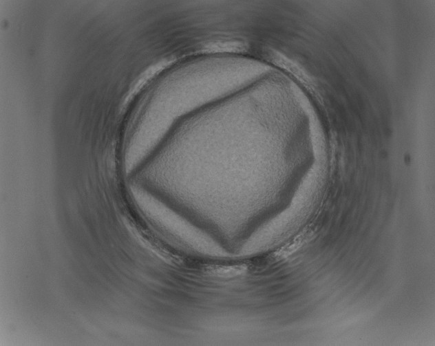 X0000077290155200611101351