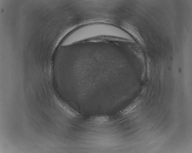 X0000077290156200611101351