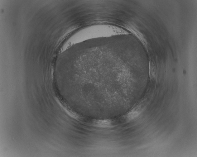 X0000077290157200611101351