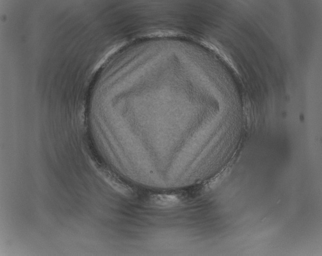 X0000077290159200611101351