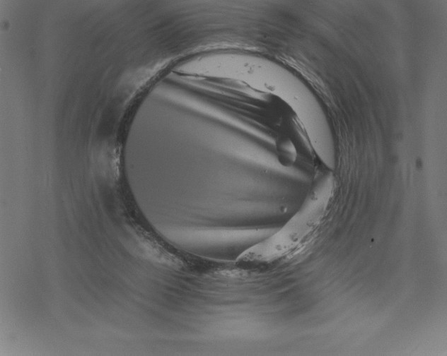 X0000077290160200611101352