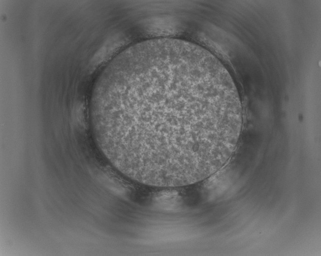 X0000077290162200611101352