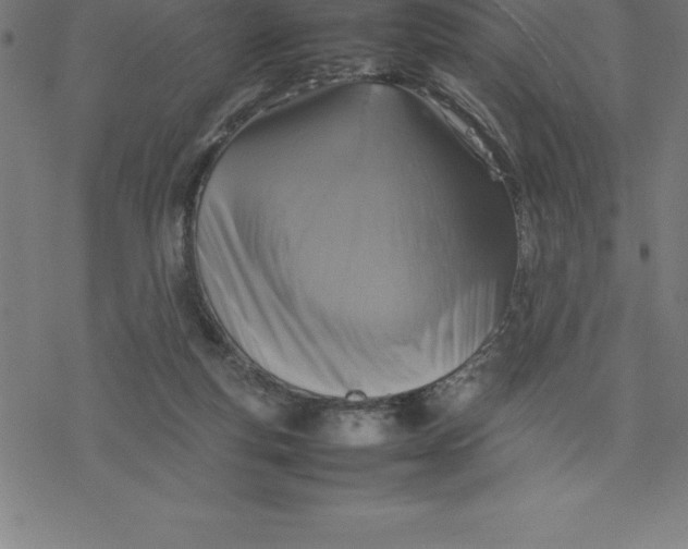 X0000077290163200611101352